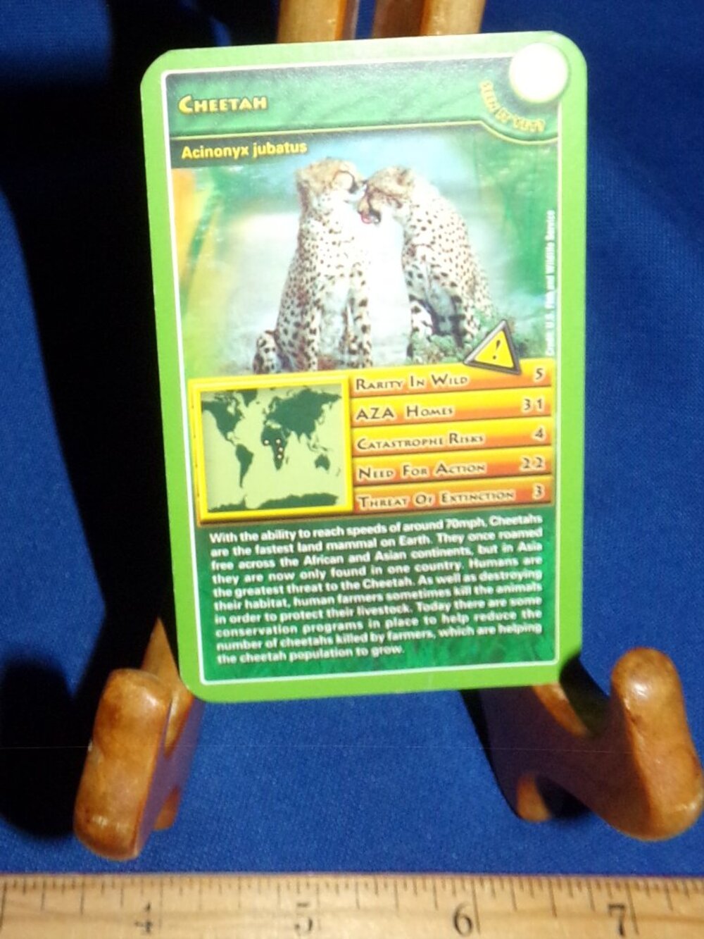 Vintage Top Trumps Wildlife in Danger Game Collector's Advertising Card- Cheeta